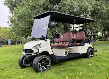 Arabian Carts FZ-LLC