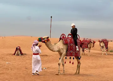 Arabian Luxury Tours