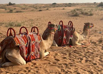 Arabian Luxury Tours
