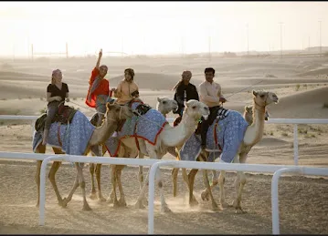 Arabian Nights Tours (official)
