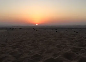 Arabian Nights Tours (official)