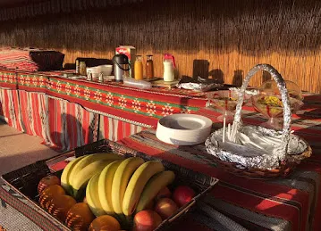 Arabian Nights Tours (official)