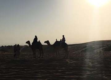 Arabian Nights Tours (official)