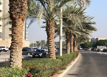 Arabian Village Gym
