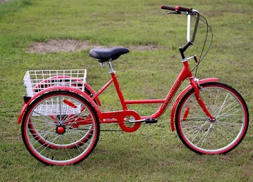 ARABIAN YOUTH BICYCLES (L.L.C)