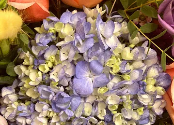 Art & Flower