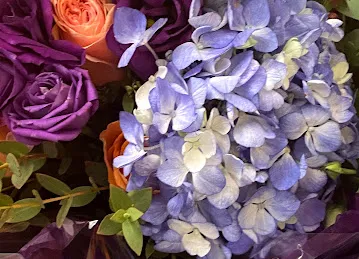 Art & Flower