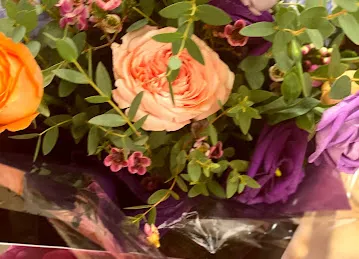 Art & Flower