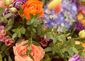 Art & Flower