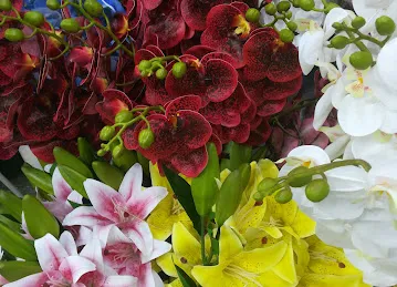 Artificial Flower and Plant UAE-الزهور والنباتات الاصطناعية