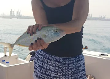 Arya Yachts Cruising and Fishing Trips