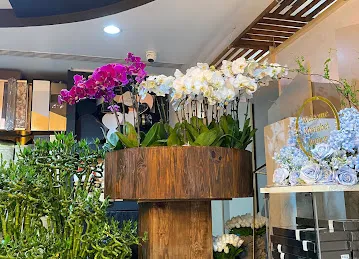 Aster Flower Trading