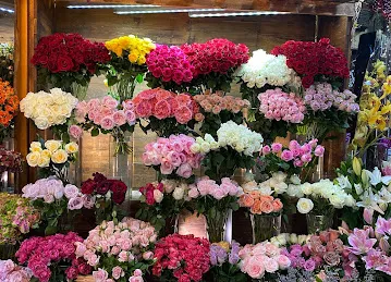Aster Flower Trading