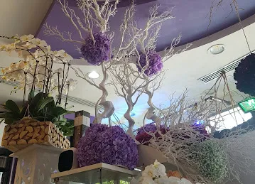 Aster Flower Trading