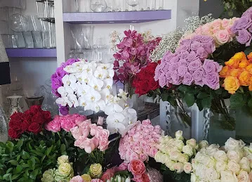 Aster Flower Trading