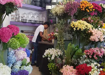 Aster Flower Trading