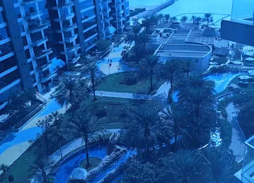 Atlantic, Oceana, Palm