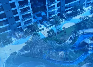 Atlantic, Oceana, Palm