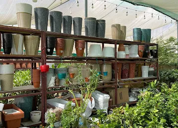 Awaht Al Wrood Plants Nursery
