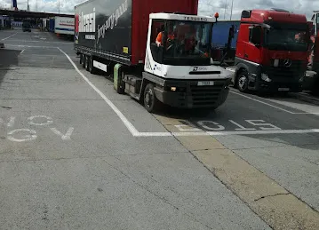 B. C trading