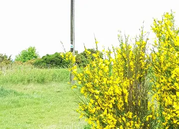 BAB AL FIRDOUS GRAPHICS