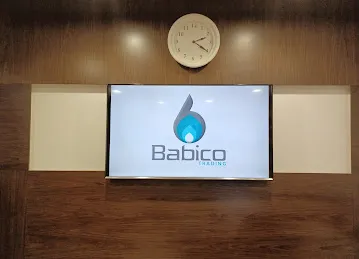 Babico Trading LLC