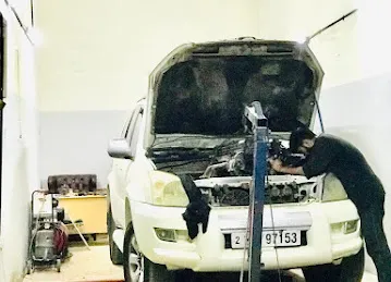 Badia Al Alam Garage