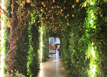 Bamboo Garden - حدائق البامبو