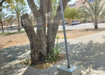 Bani Yas St / Muraijeb Park