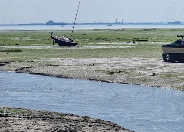 Baniyas china camp