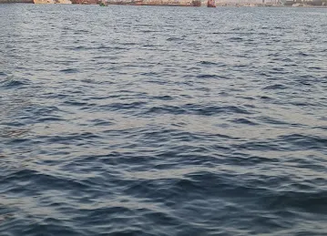 Baniyas Marine Transport Station 1