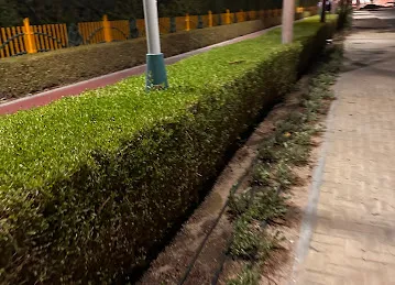 Barsha community park