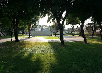 Basketball court