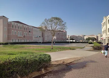 Basketball. Court
