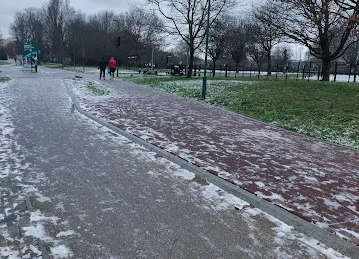 Basketball court