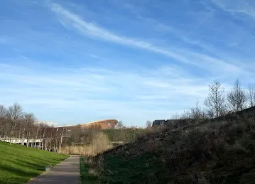 Basketball court