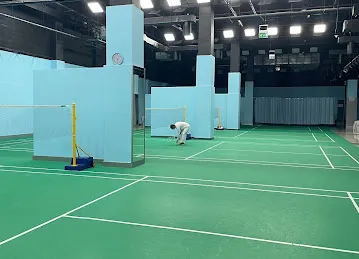 bat and ball sports avenue-badminton