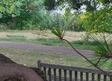 Bazaroo