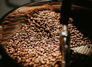 Bean Story by Ozone Agrow