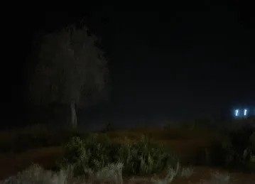 Beautiful Nature