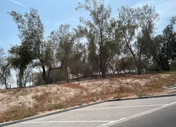 Beautiful Nature