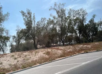 Beautiful Nature
