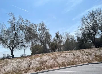 Beautiful Nature