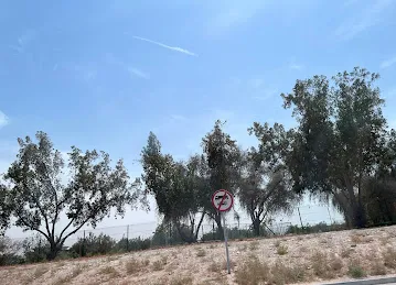 Beautiful Nature