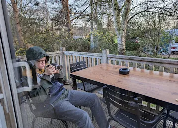 Bench