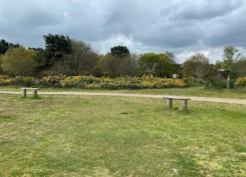 Bench