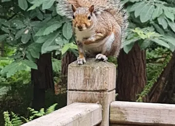 Bench