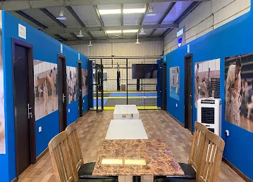 Bereznev's Karate School