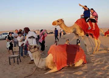 Best Desert Safari
