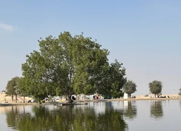 بحيرة الوثبه غير المالحه